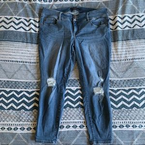 20s short Premium distressed denim Jegging from Torrid